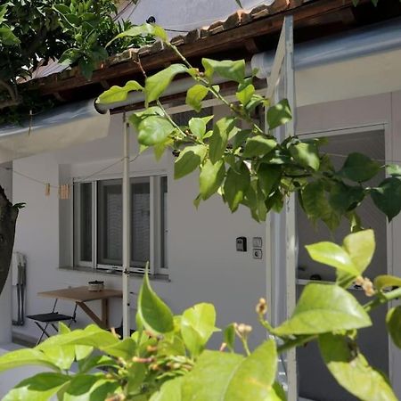 Stamatis Apartment 아기오스 게오르기오스 외부 사진